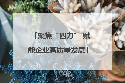 聚焦“四力” 赋能企业高质量发展