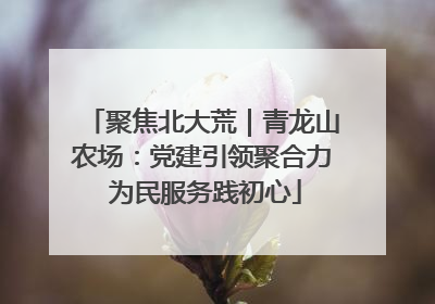 聚焦北大荒｜青龙山农场：党建引领聚合力 为民服务践初心