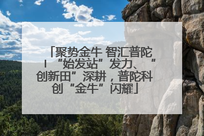 聚势金牛 智汇普陀〡“始发站”发力、“创新田”深耕，普陀科创“金牛”闪耀