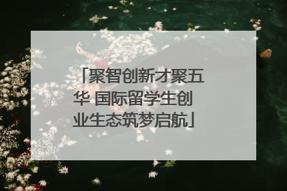 聚智创新才聚五华 国际留学生创业生态筑梦启航