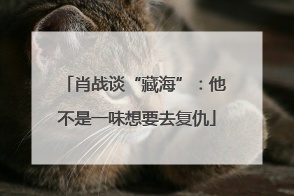 肖战谈“藏海”：他不是一味想要去复仇