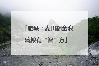 肥城：麦田翻金浪藏粮有“智”方