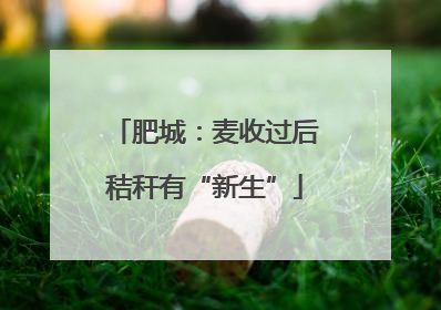 肥城：麦收过后秸秆有“新生”