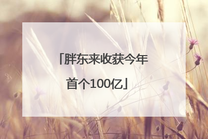 胖东来收获今年首个100亿