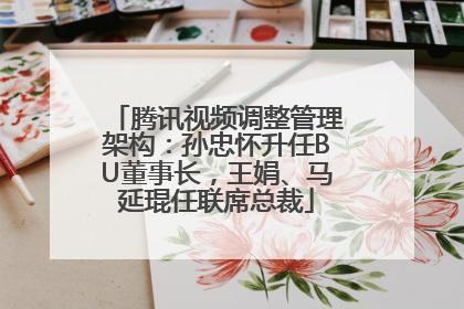 腾讯视频调整管理架构：孙忠怀升任BU董事长，王娟、马延琨任联席总裁
