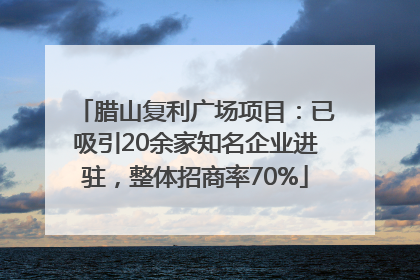 腊山复利广场项目：已吸引20余家知名企业进驻，整体招商率70%