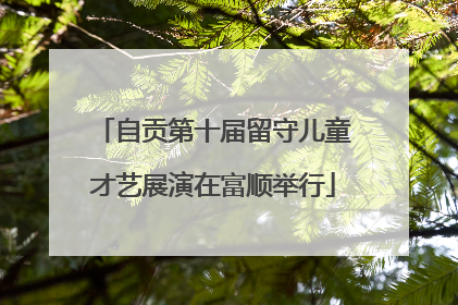 自贡第十届留守儿童才艺展演在富顺举行