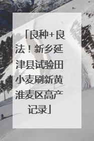 良种+良法！新乡延津县试验田小麦刷新黄淮麦区高产记录