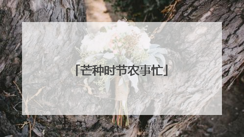 芒种时节农事忙