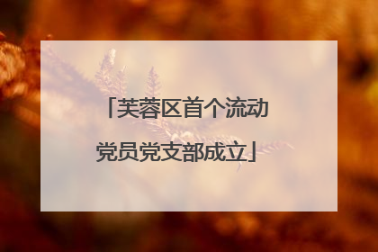 芙蓉区首个流动党员党支部成立