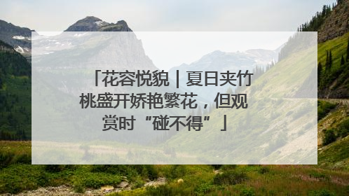 花容悦貌｜夏日夹竹桃盛开娇艳繁花，但观赏时“碰不得”
