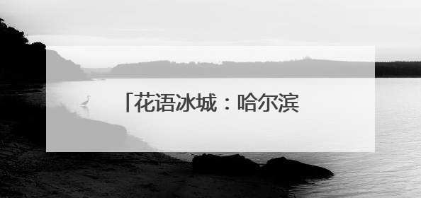 花语冰城：哈尔滨五月花海绚烂绽放