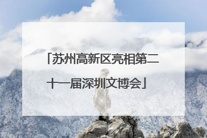 苏州高新区亮相第二十一届深圳文博会