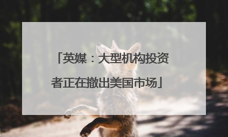 英媒：大型机构投资者正在撤出美国市场