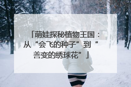 萌娃探秘植物王国：从“会飞的种子”到“善变的绣球花”
