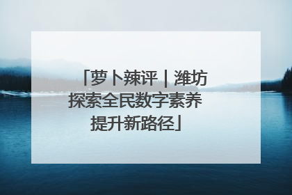 萝卜辣评｜潍坊探索全民数字素养提升新路径