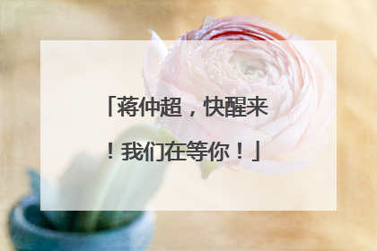 蒋仲超，快醒来！我们在等你！