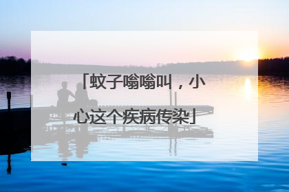 蚊子嗡嗡叫，小心这个疾病传染