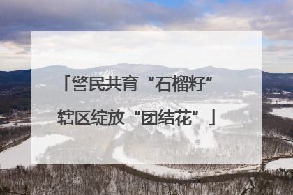 警民共育“石榴籽” 辖区绽放“团结花”