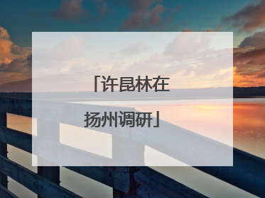 许昆林在扬州调研