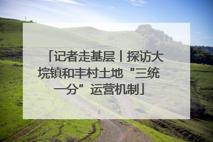 记者走基层丨探访大垸镇和丰村土地“三统一分”运营机制