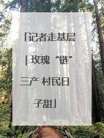 记者走基层｜玫瑰“链”三产 村民日子甜