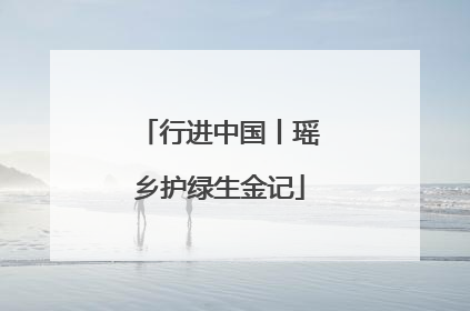行进中国丨瑶乡护绿生金记