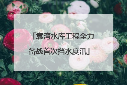 袁湾水库工程全力备战首次挡水度汛