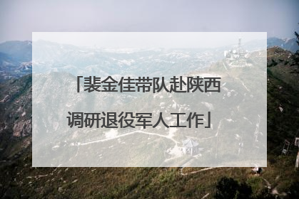 裴金佳带队赴陕西调研退役军人工作