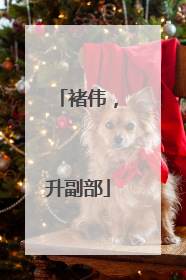 褚伟，升副部