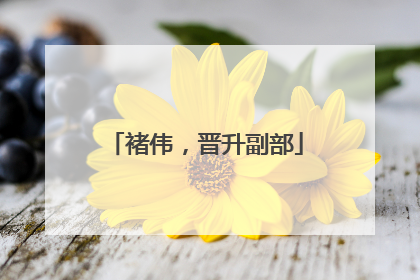 褚伟，晋升副部