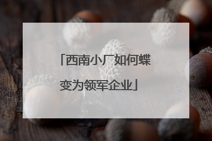 西南小厂如何蝶变为领军企业