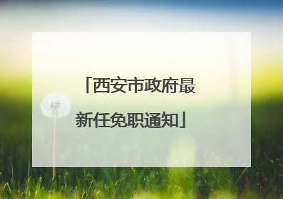 西安市政府最新任免职通知