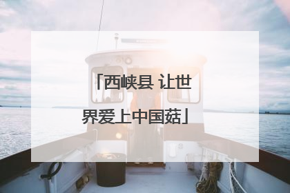 西峡县 让世界爱上中国菇