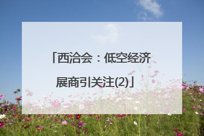 西洽会：低空经济展商引关注(2)