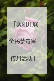 襄阳开展全民禁毒宣传月活动