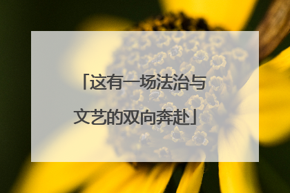 这有一场法治与文艺的双向奔赴