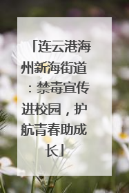 连云港海州新海街道：禁毒宣传进校园，护航青春助成长