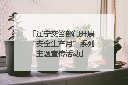 辽宁交警部门开展“安全生产月”系列主题宣传活动