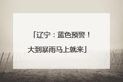 辽宁：蓝色预警！大到暴雨马上就来