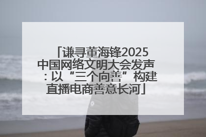 谦寻董海锋2025中国网络文明大会发声：以“三个向善”构建直播电商善意长河