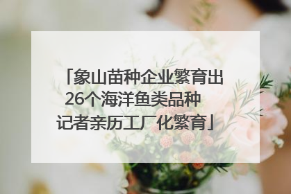 象山苗种企业繁育出26个海洋鱼类品种 记者亲历工厂化繁育