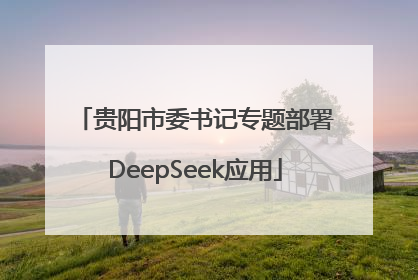 贵阳市委书记专题部署DeepSeek应用