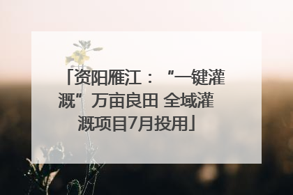 资阳雁江：“一键灌溉”万亩良田 全域灌溉项目7月投用