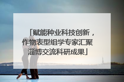 赋能种业科技创新，作物表型组学专家汇聚淄博交流科研成果