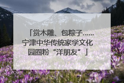 赏木雕、包粽子……宁津中华传统家学文化园圈粉“洋朋友”