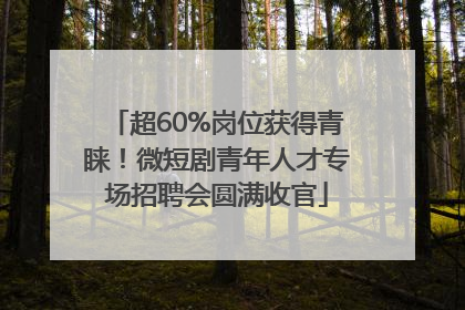 超60%岗位获得青睐！微短剧青年人才专场招聘会圆满收官