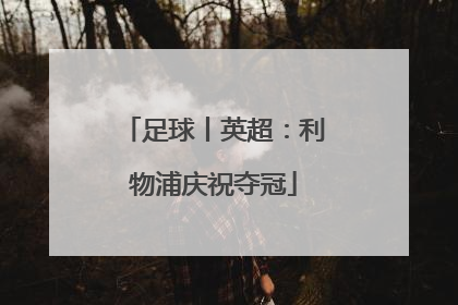 足球丨英超：利物浦庆祝夺冠