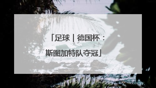 足球｜德国杯：斯图加特队夺冠