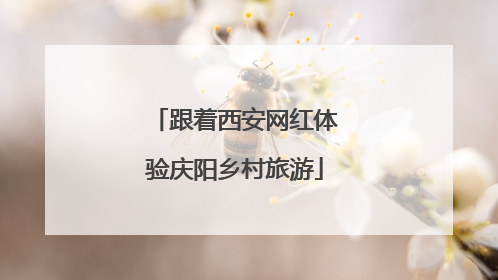 跟着西安网红体验庆阳乡村旅游
